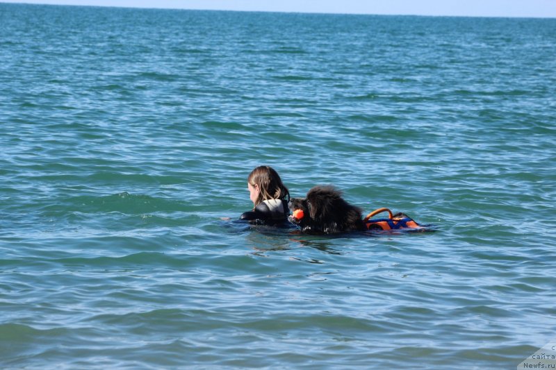 Фотография № 245309