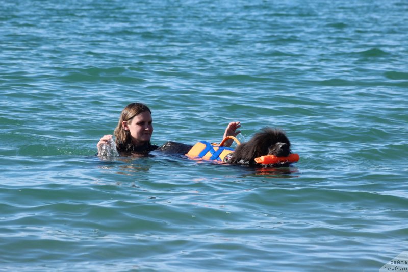 Фотография № 245310