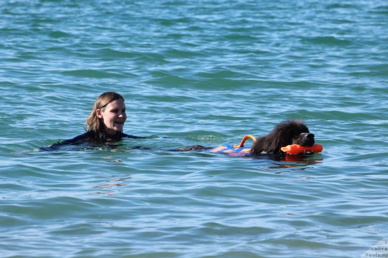 Фотография № 245311