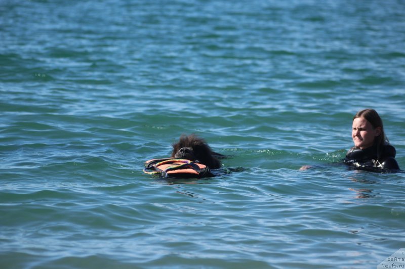 Фотография № 245315