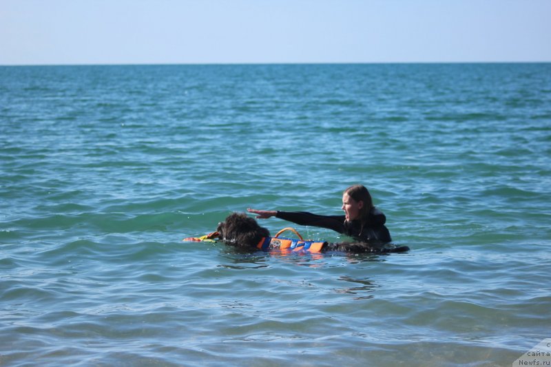 Фотография № 245318