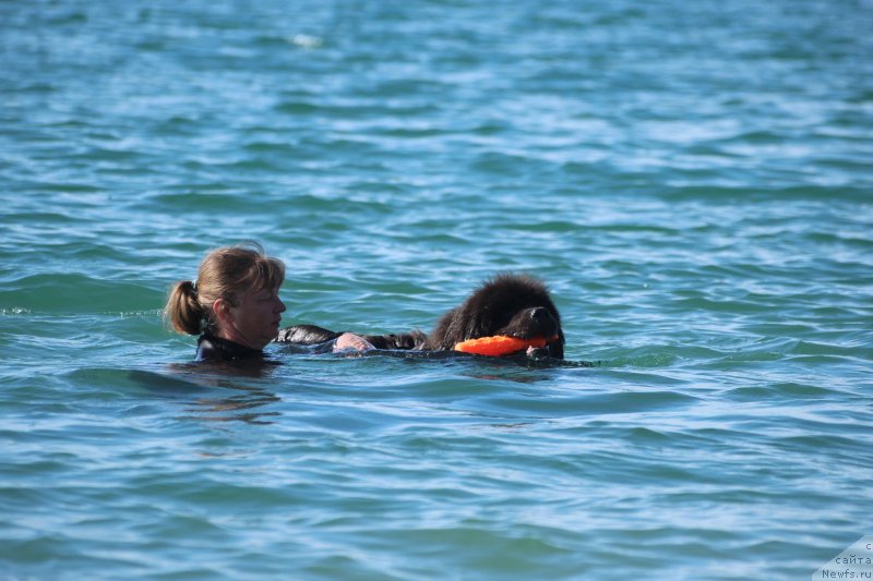 Фотография № 245330