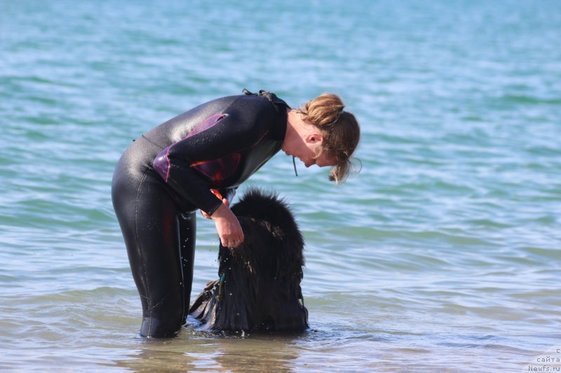 Фотография № 245332