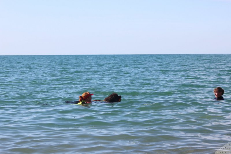 Фотография № 245338