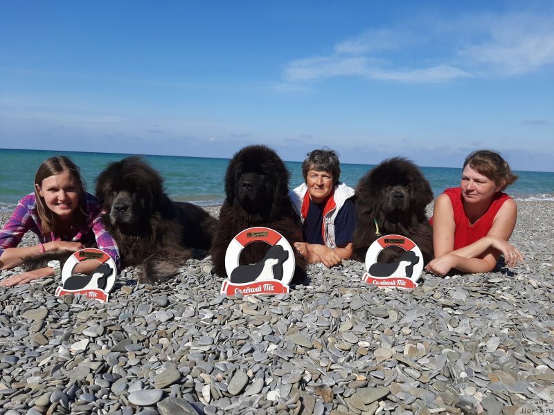 Фотография № 245345