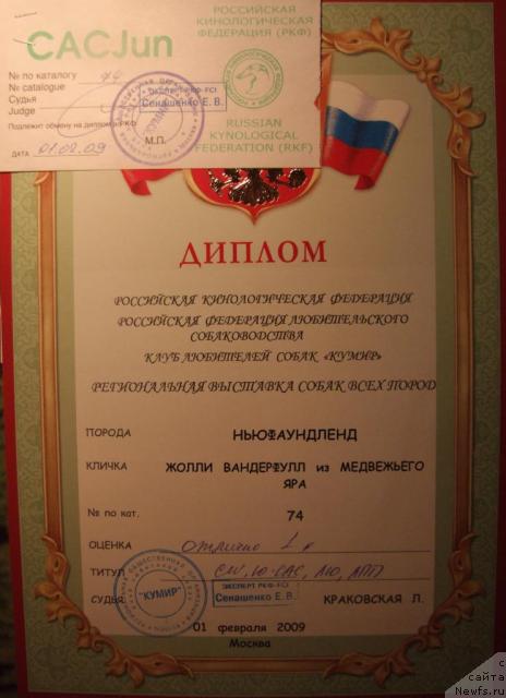 Фото: ньюфаундленд Zholli Wonderfull iz Medvejyego Yara (Жолли Вандерфулл из Медвежьего Яра)