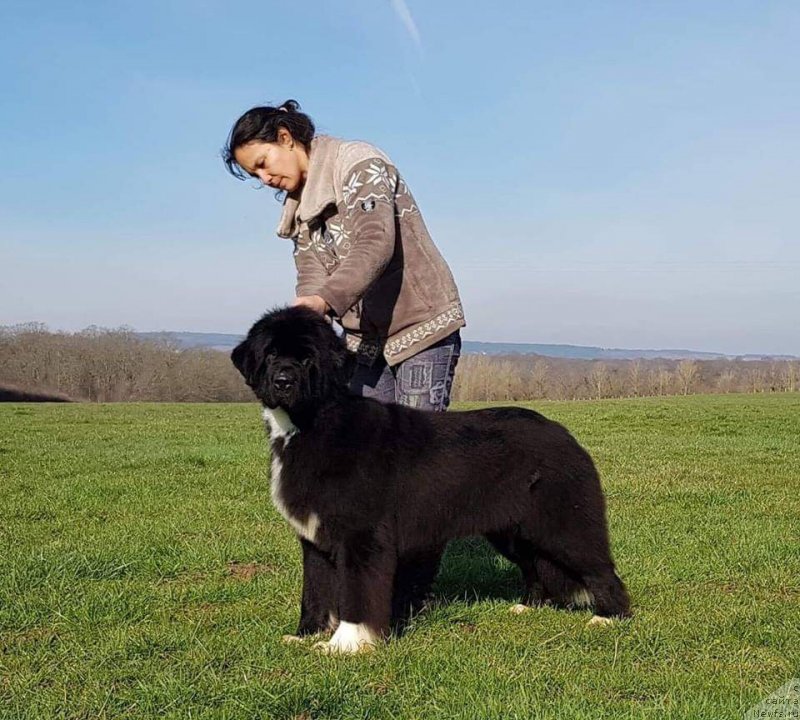 Фотография № 245351