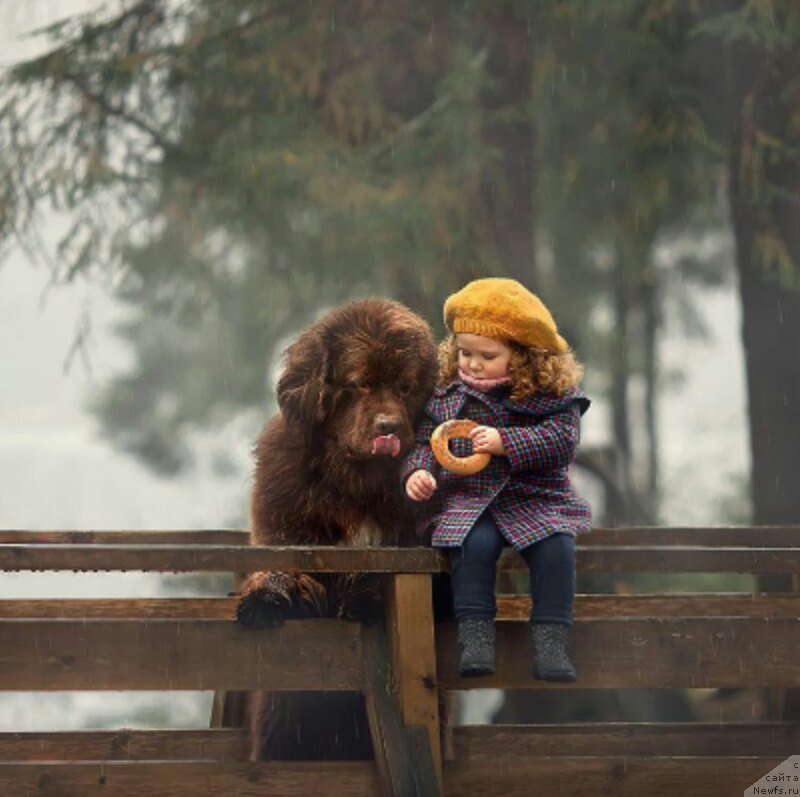 Фотография № 245375