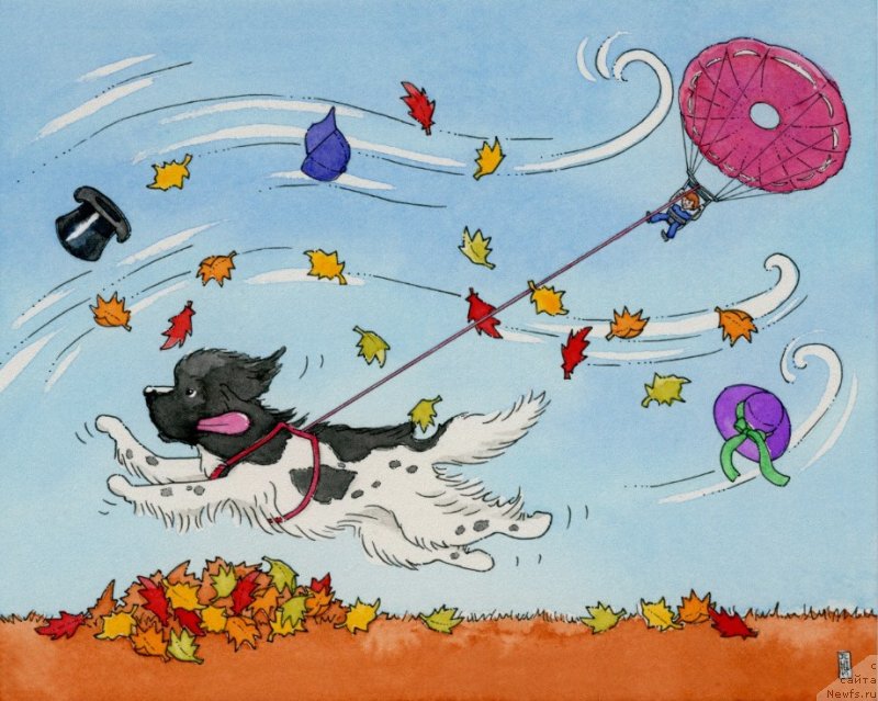 Фотография № 245395