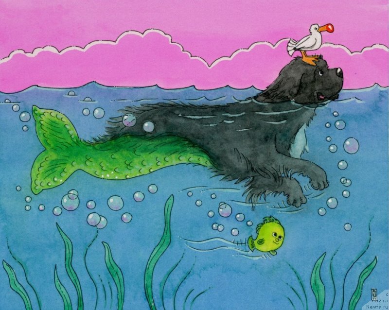 Фотография № 245399