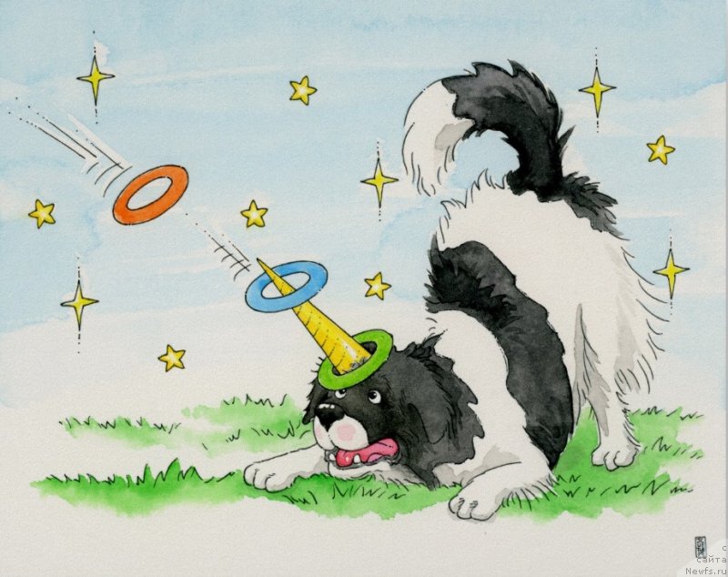 Фотография № 245400