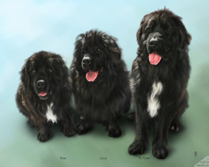 Фотография № 245404