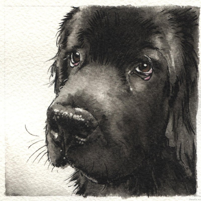 Фотография № 245406