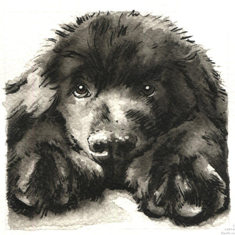 Фотография № 245407