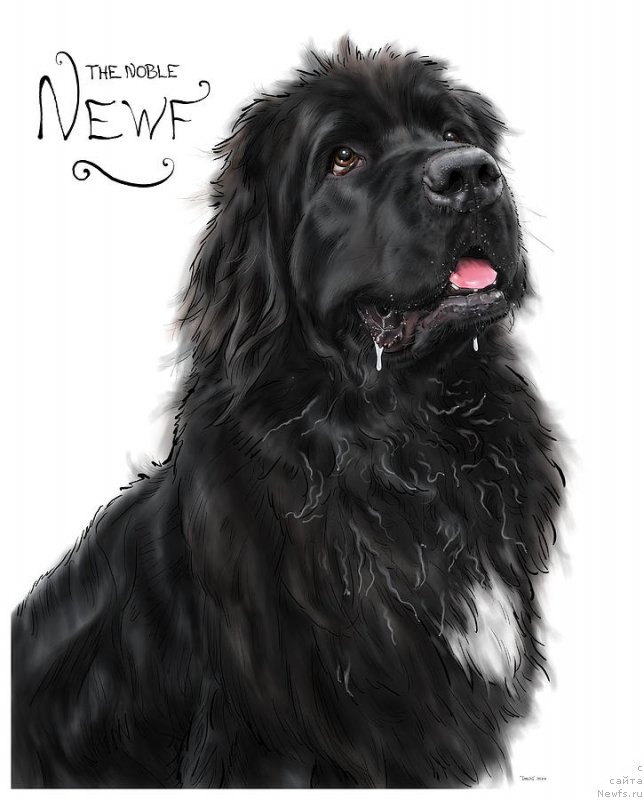 Фотография № 245410