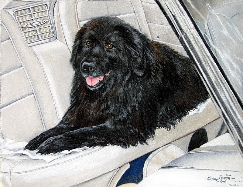 Фотография № 245416