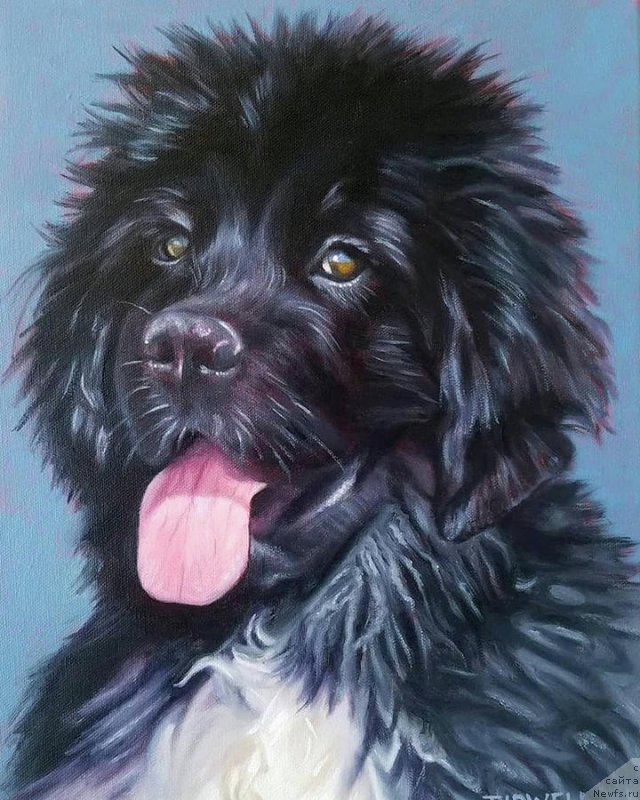 Фотография № 245475