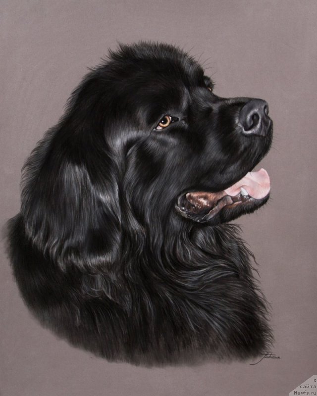 Фотография № 245481