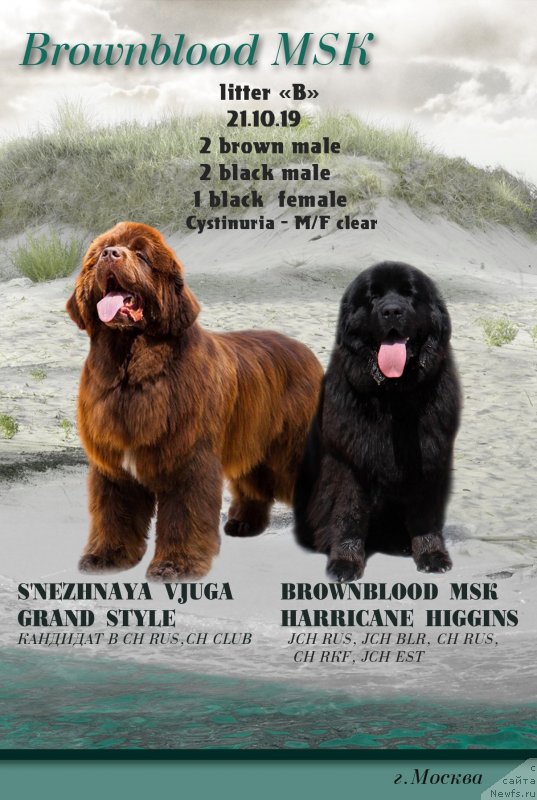 Фотография № 245482