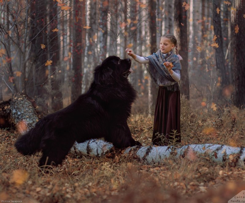 Фотография № 245493