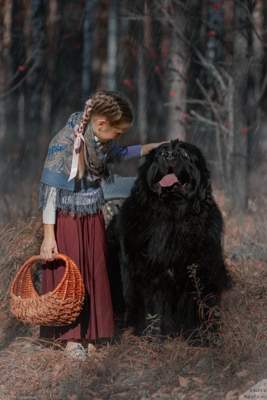 Фотография № 245497