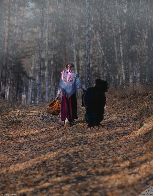 Фотография № 245498