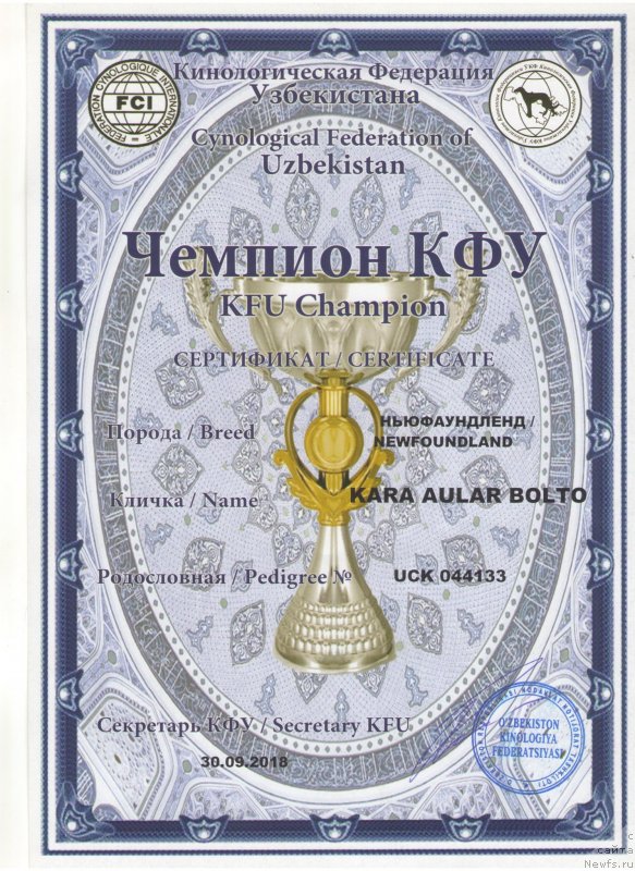 Фото: ньюфаундленд Kara Aular Bolto (Кара Аюлар Болто)