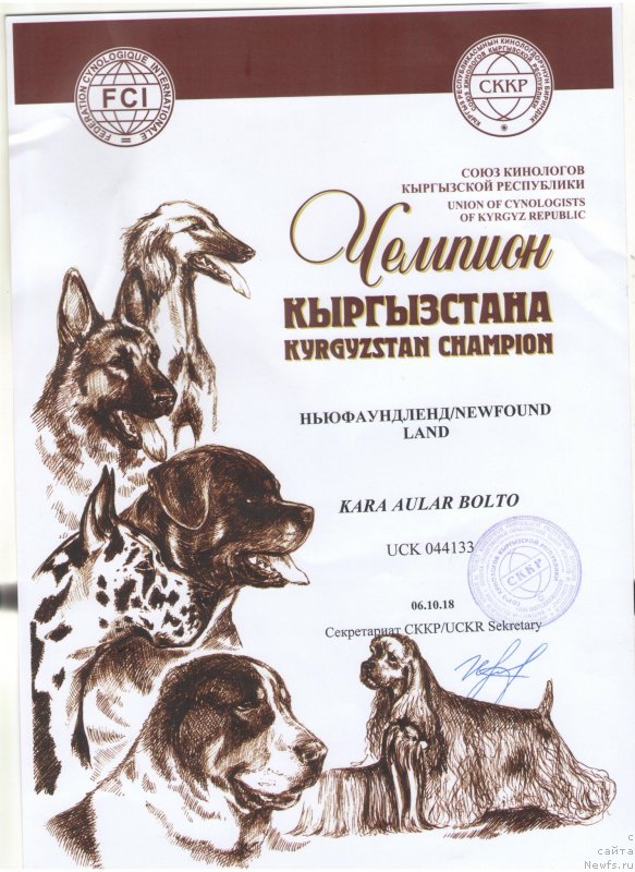 Фото: ньюфаундленд Kara Aular Bolto (Кара Аюлар Болто)