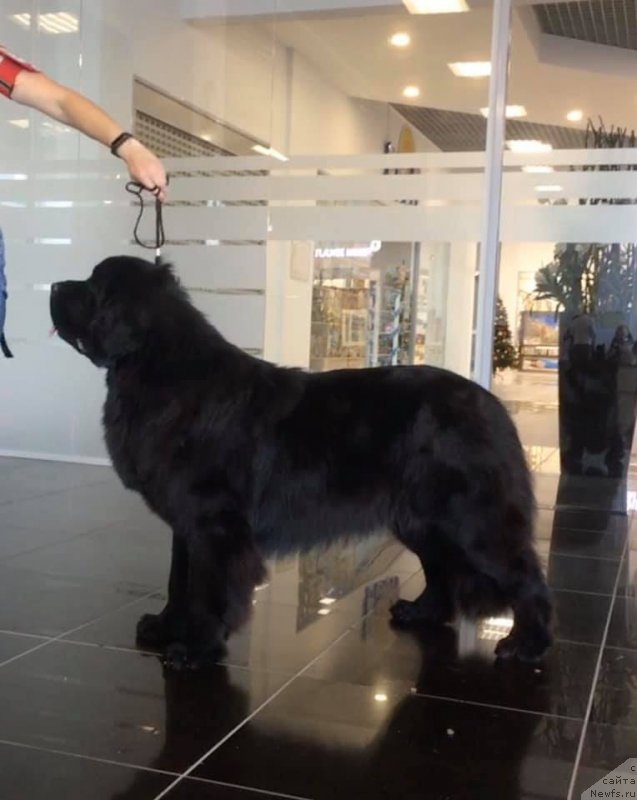 Фотография № 245596