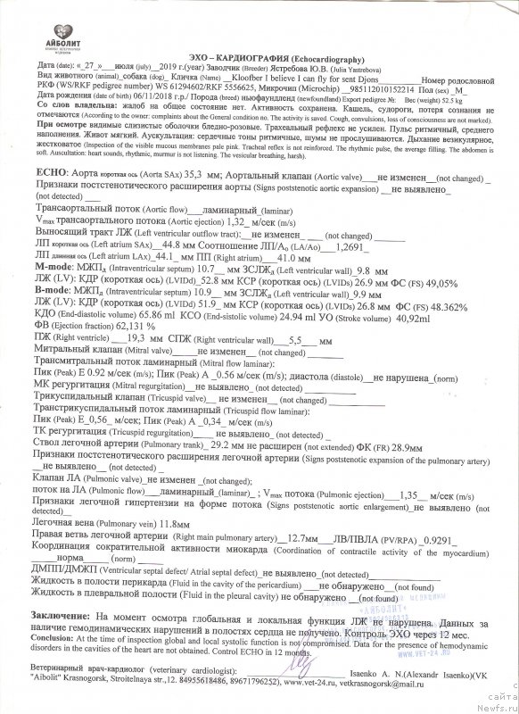 Фото: ньюфаундленд Kloofbears I Believe I Can Flay for Sent Djons