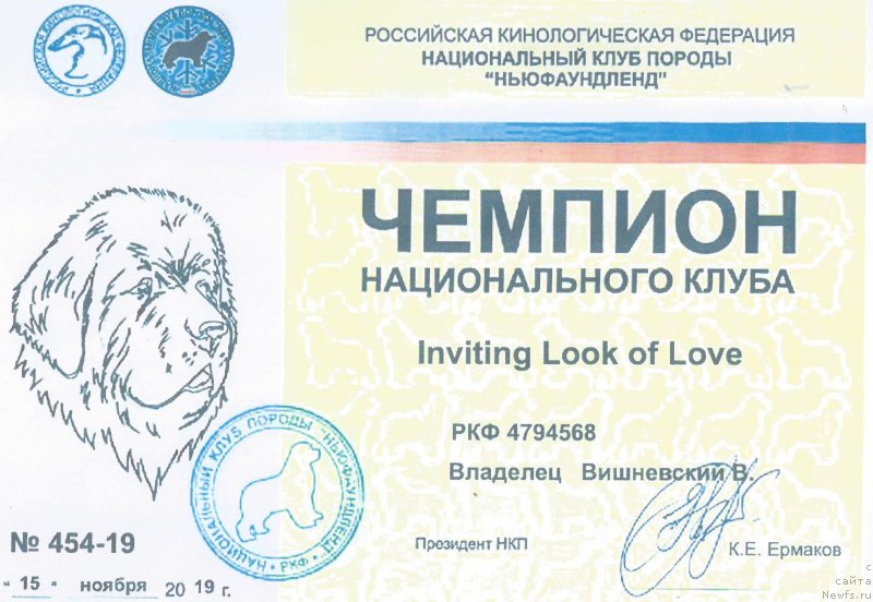 Фото: Vadim Vishnevskiy (Вадим Вишневский), ньюфаундленд Inviting Look of Love (Инвайтинг Лук оф Лав)