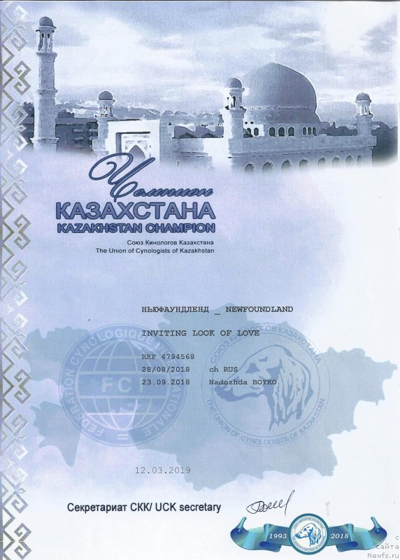 Фото: ньюфаундленд Inviting Look of Love (Инвайтинг Лук оф Лав)