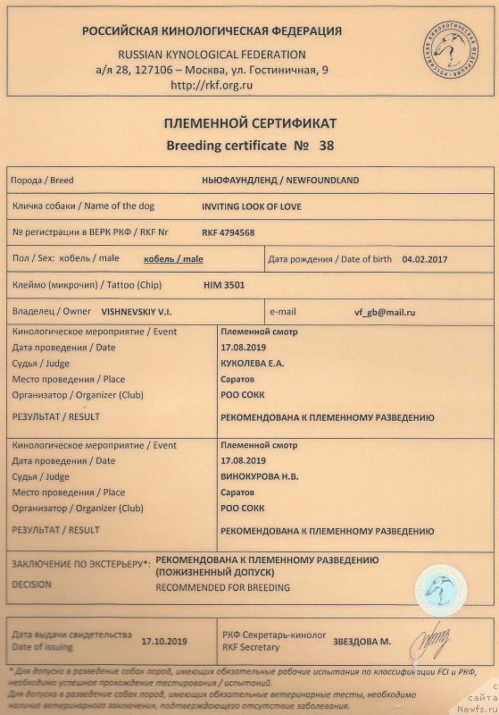 Фото: ньюфаундленд Inviting Look of Love (Инвайтинг Лук оф Лав)