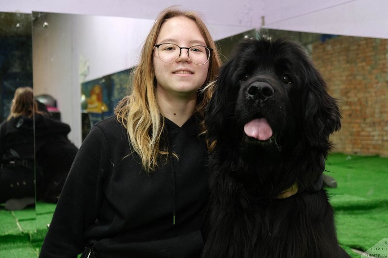 Фото: ньюфаундленд Donats Prayd Byet Midler (Донатс Прайд Бэт Мидлер)