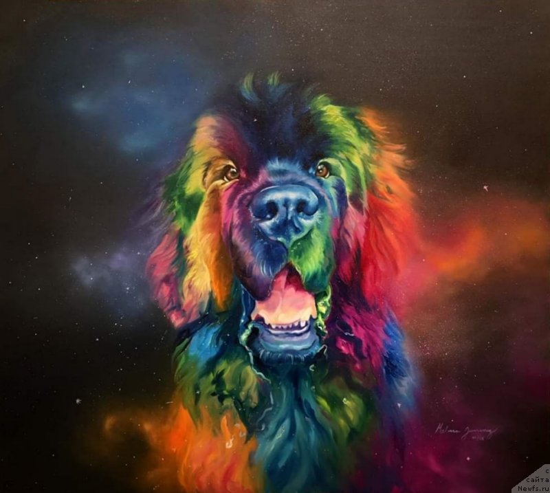 Фотография № 245705