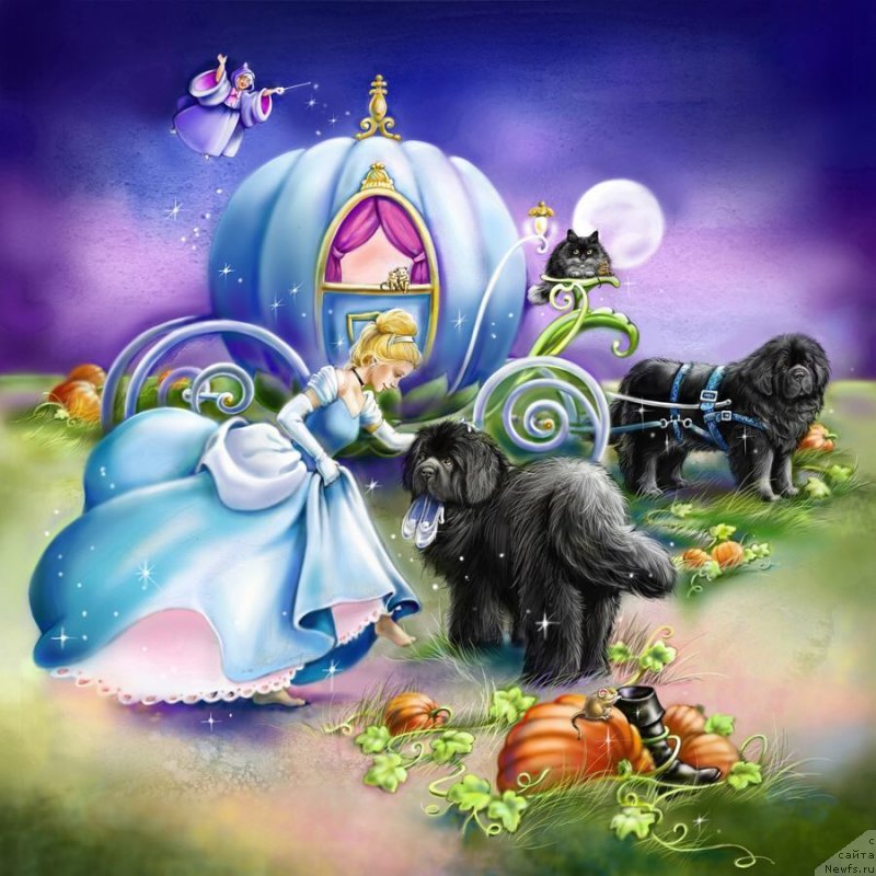 Фотография № 245711