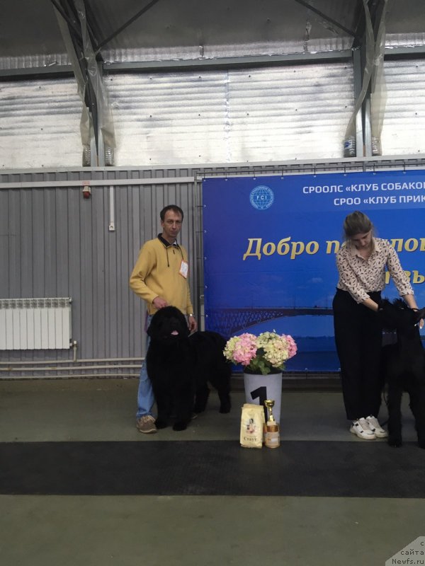 Фото: Andrey SHishinin (Андрей Шишинин)