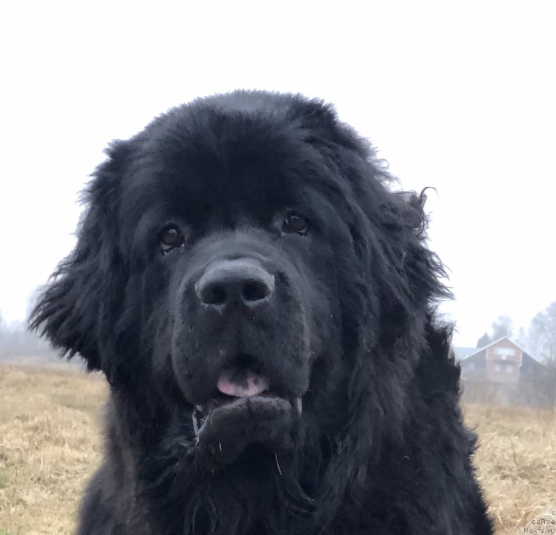 Фотография № 245758