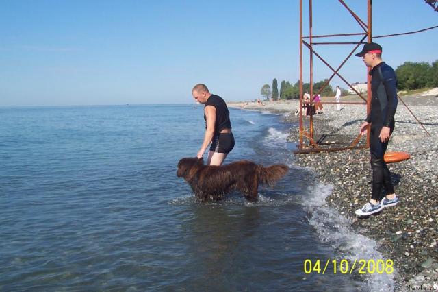 Фотография № 24576