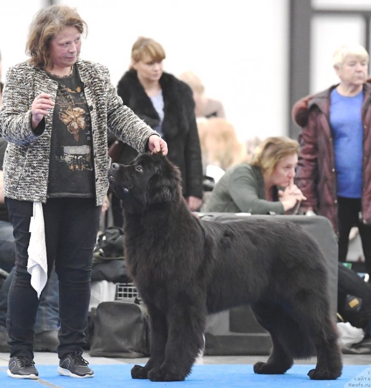 Фотография № 245775