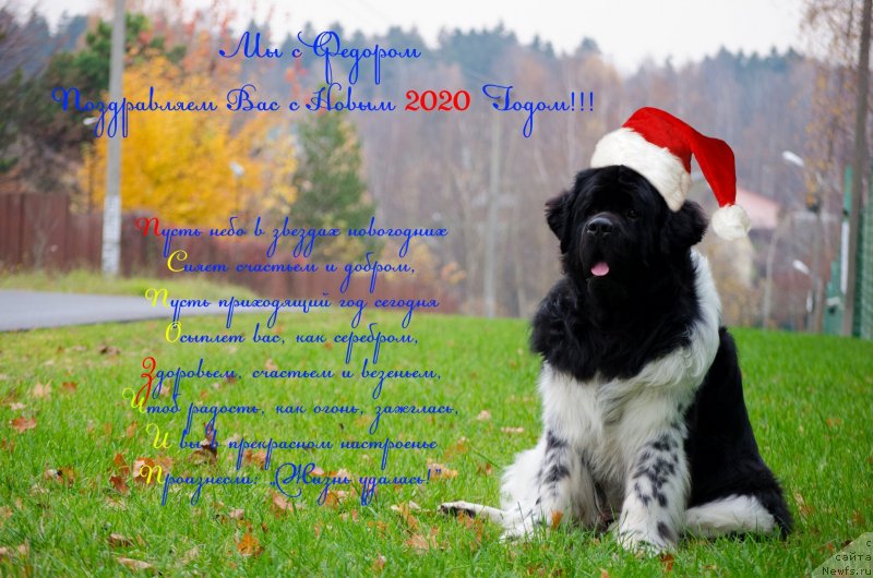 Фотография № 245789