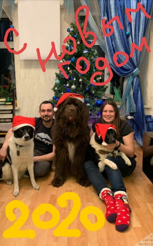 Фотография № 245792