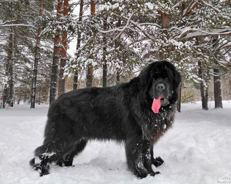 Фотография № 245820