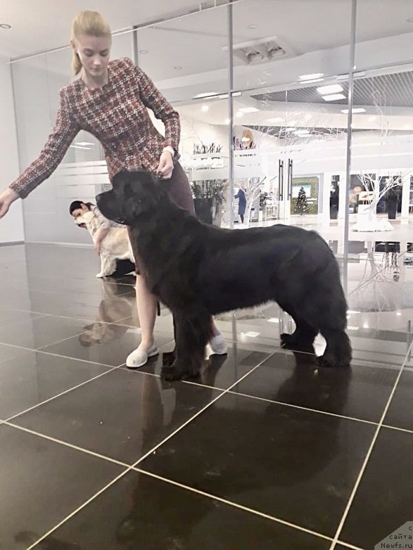 Фотография № 245828