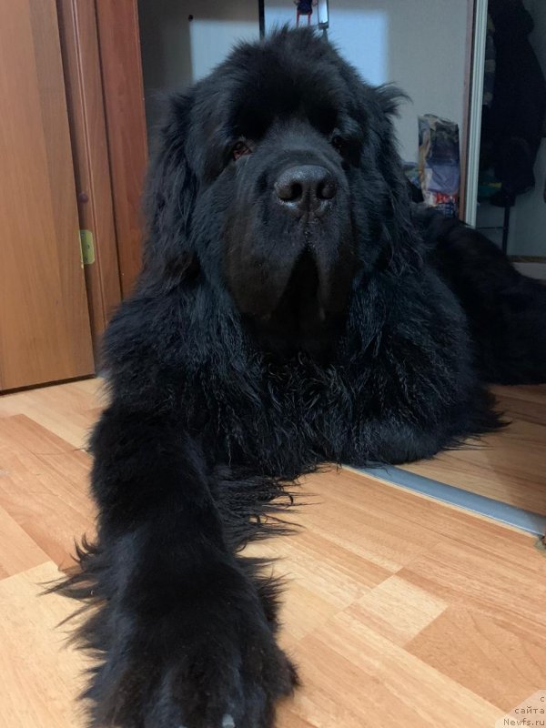 Фотография № 245830