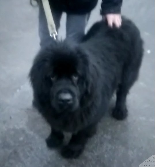 Фотография № 245831