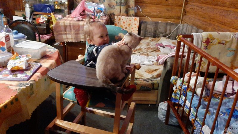 Фото: Лера, Блюм