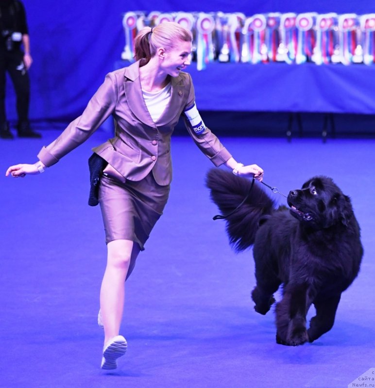 Фотография № 245858