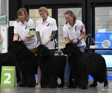 Фотография № 245881