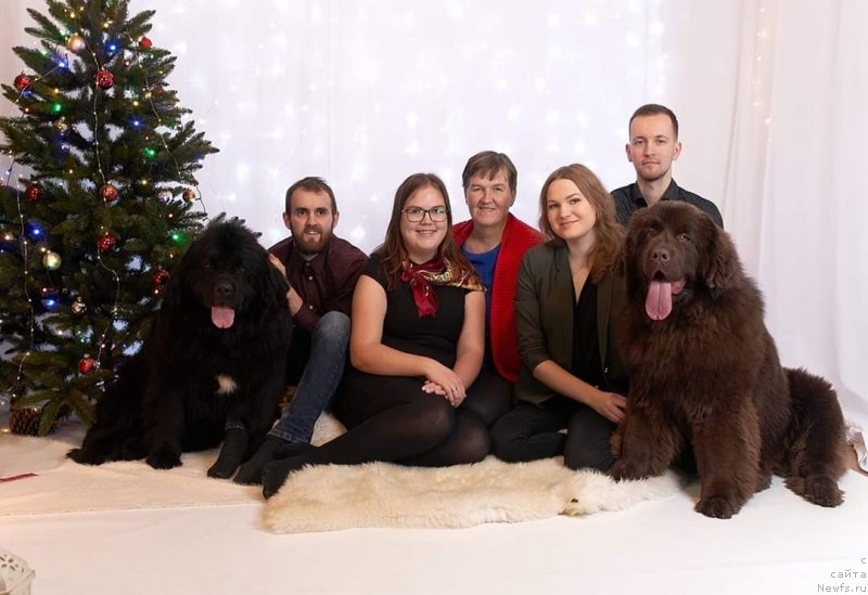 Фото: ньюфаундленд Obush Shed Made in Ural (Обуш Шед Мэйд ин Юрал)